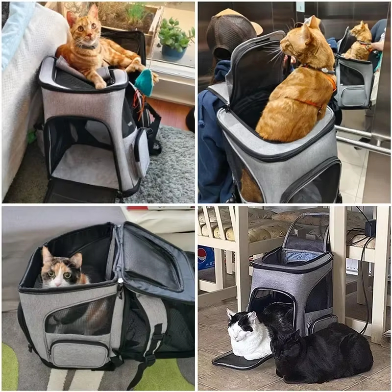 Cat Bag Outdoor Portable Cat B – Foldable Backpack Small recenzja i cena